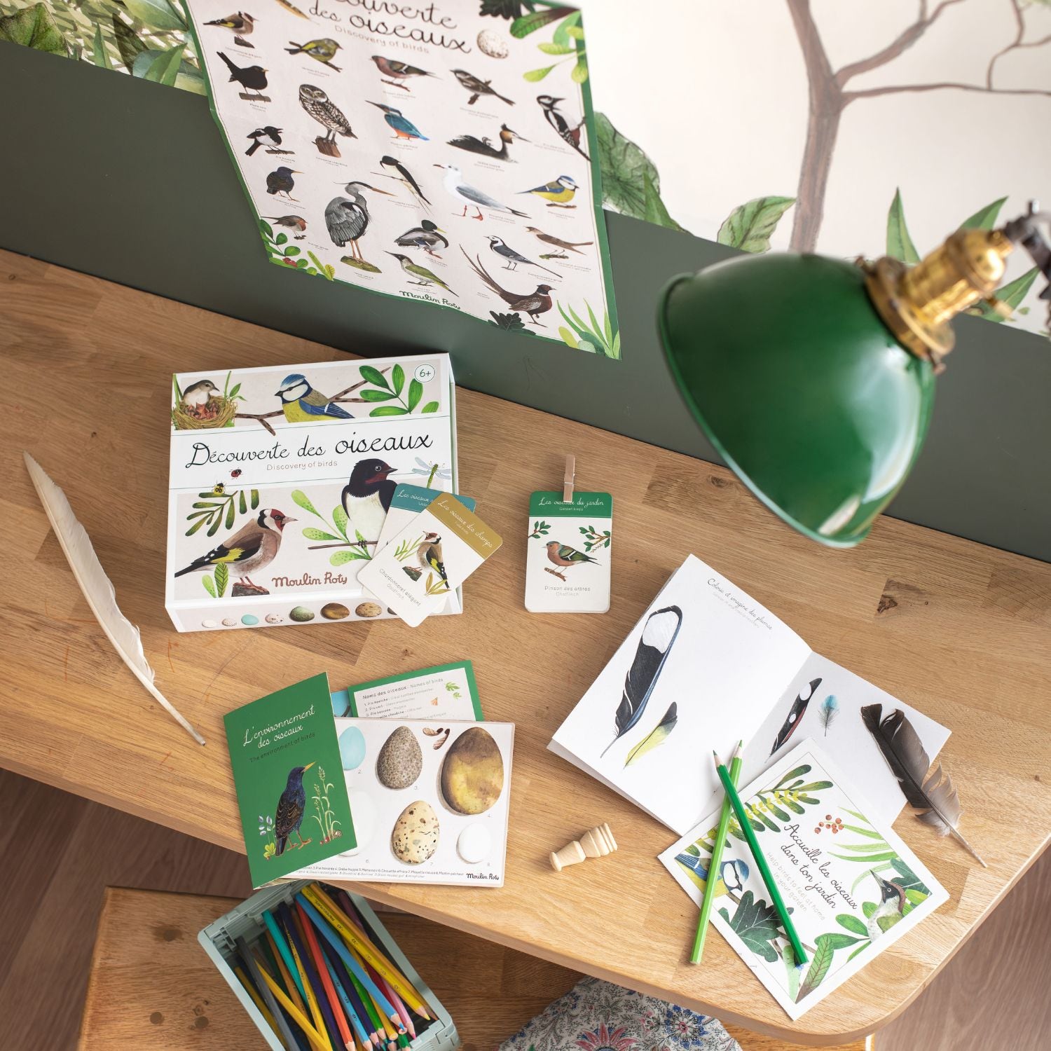Coffret Découverte oiseaux