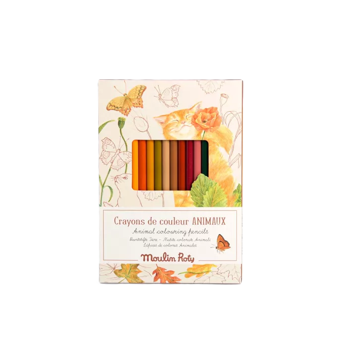 12 crayons de couleur + cartes