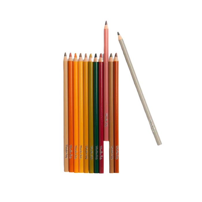12 crayons de couleur + cartes