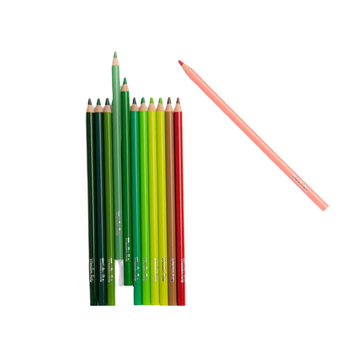 12 crayons de couleur + cartes