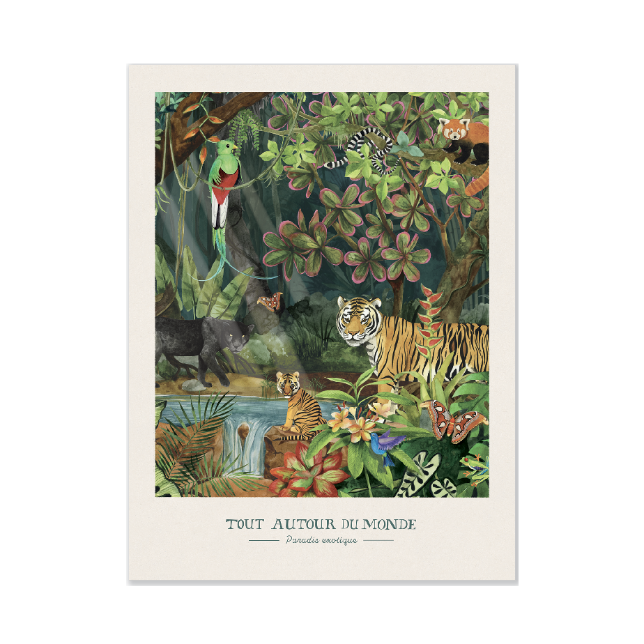 Affiche Paradis exotique 30x40cm Tout autour du monde Moulin Roty