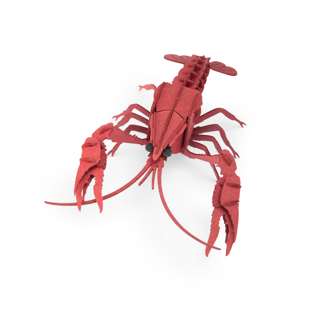 Puzzle 3D Écrevisse
