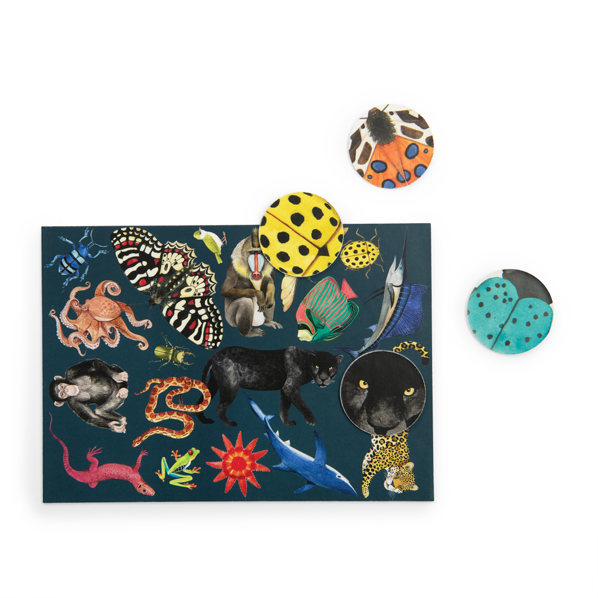 Jeu cherche et trouve