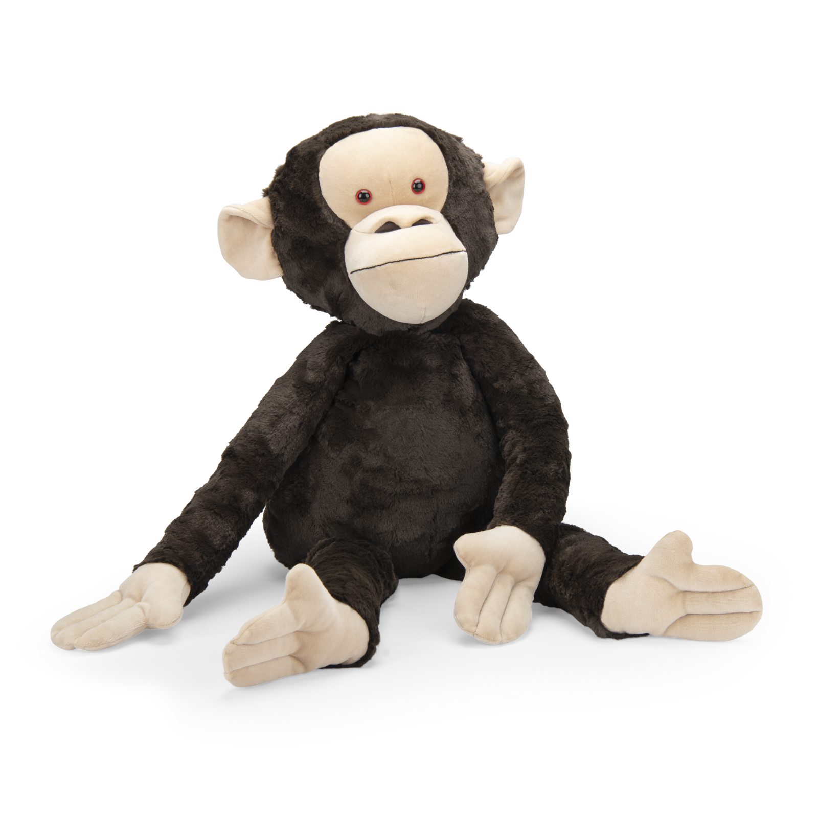 Grand chimpanzé Les nuits de l'Erdre