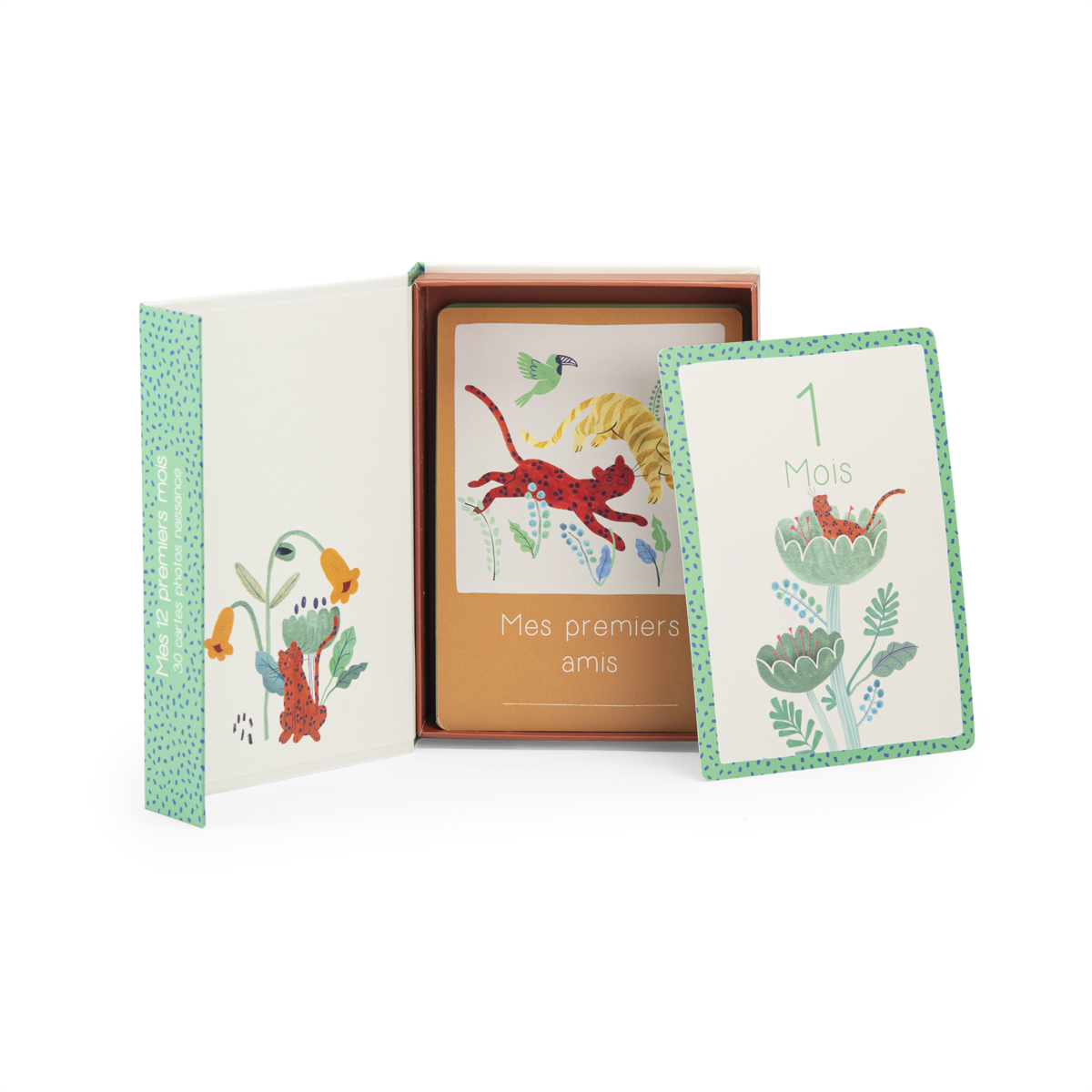 Cartes Mes 12 premiers mois La foret Mawa 30 cartes Moulin Roty
