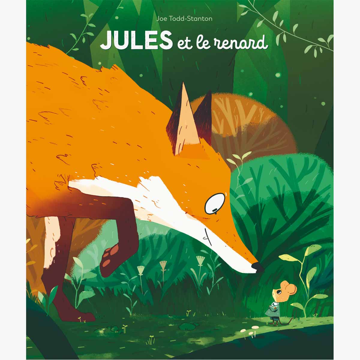 Livre Jules et le renard de Todd Stanton et Reinharez Ecole des Loisirs