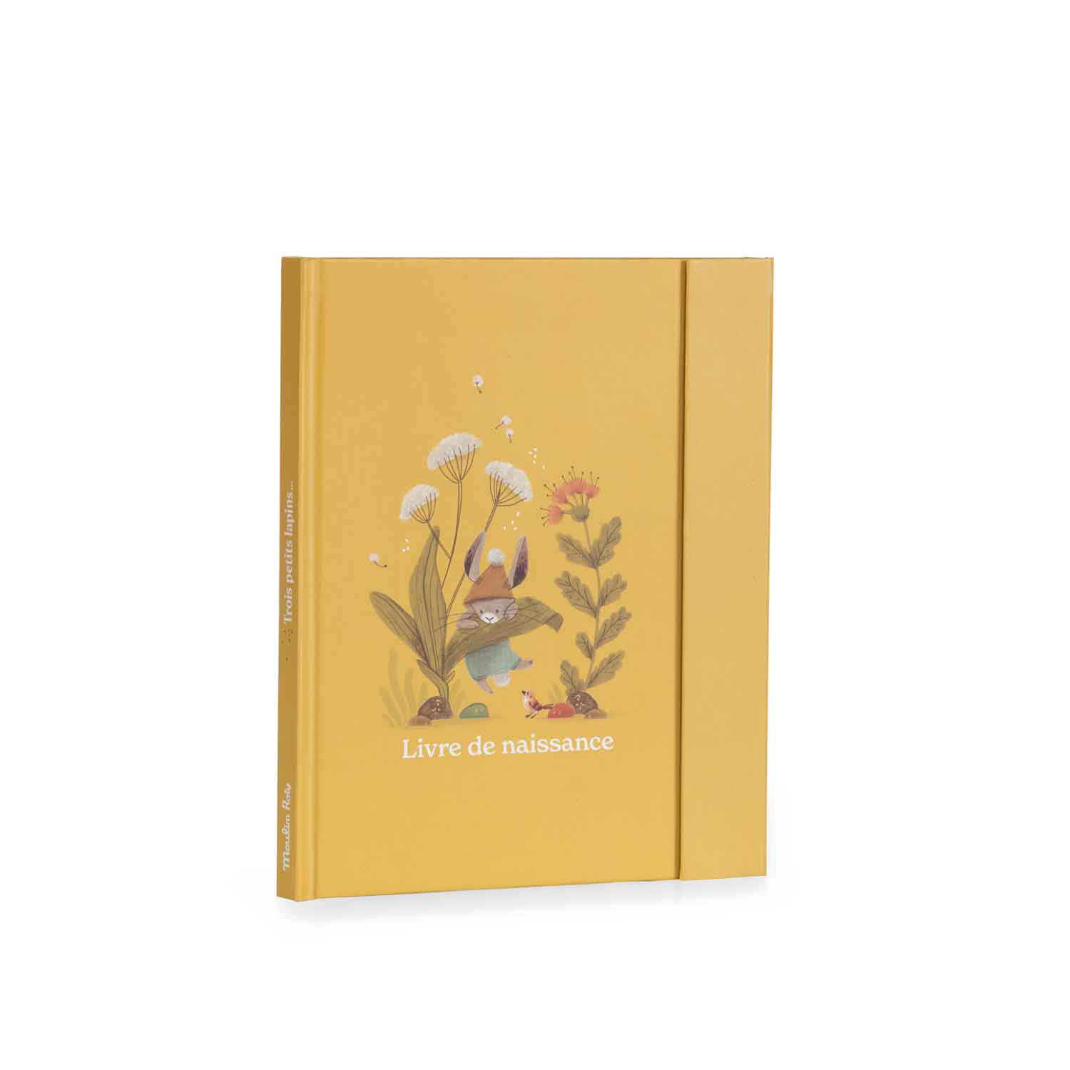 Livre de naissance Trois petits lapins Moulin Roty