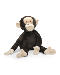 Grand chimpanzé Les nuits de l'Erdre