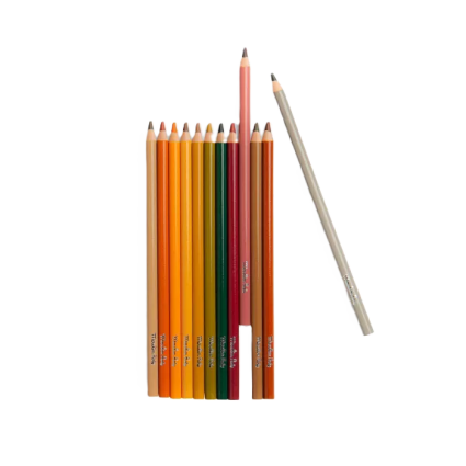 12 crayons de couleur + cartes