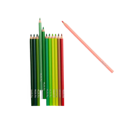 12 crayons de couleur + cartes