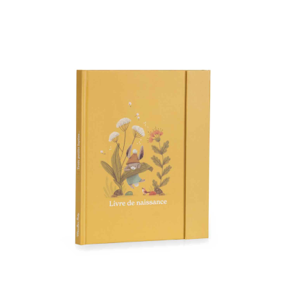 Livre de naissance Trois petits lapins Moulin Roty