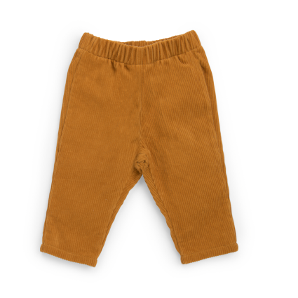 Pantalon velours côtelé moutarde - Maxime