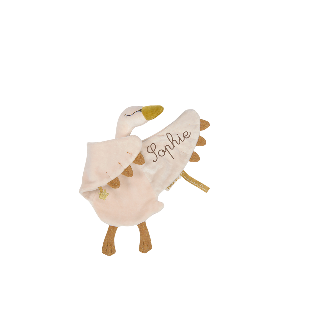 Doudou cygne or La petite ecole de danse