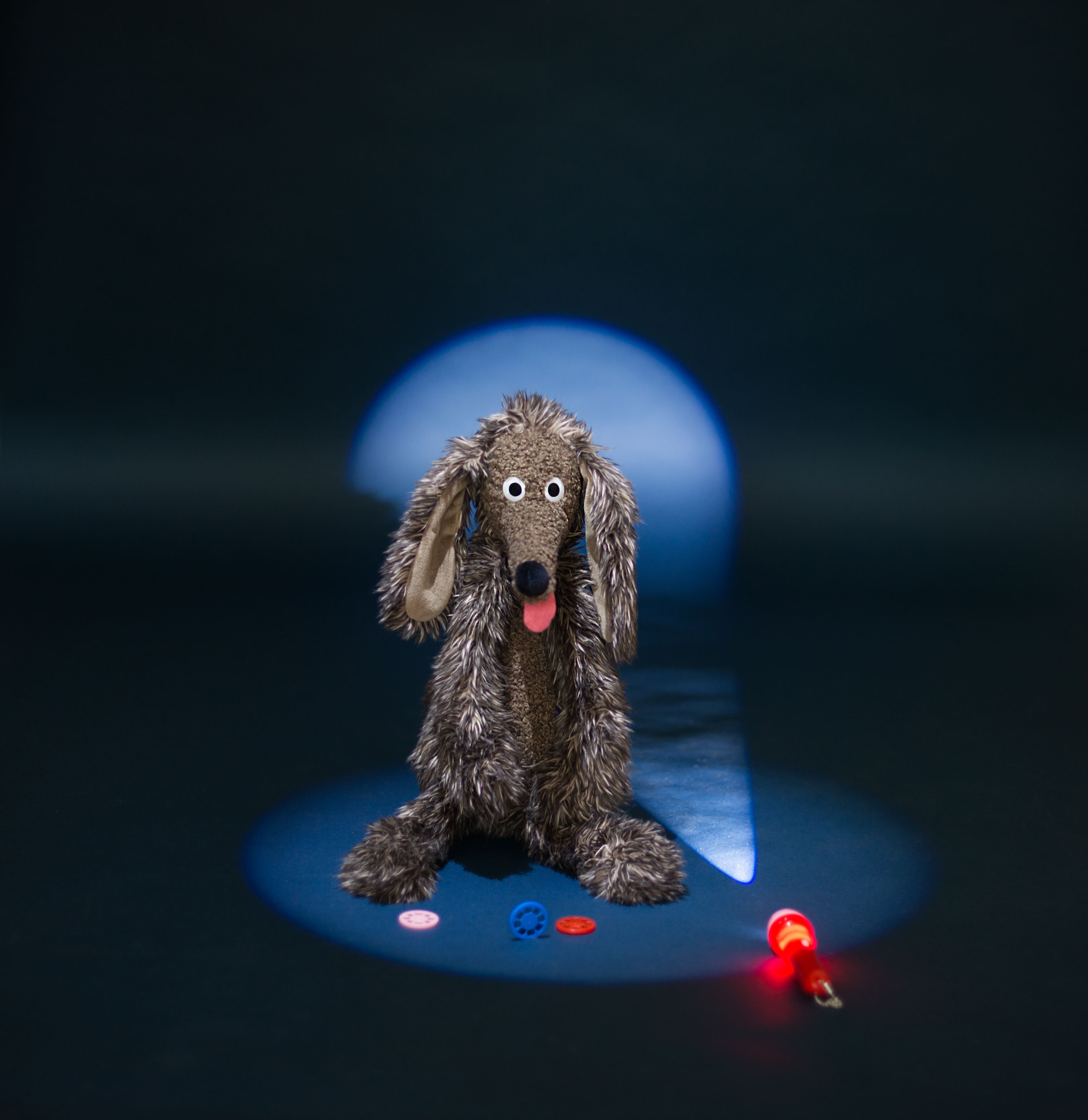 Grand Chien Pourri